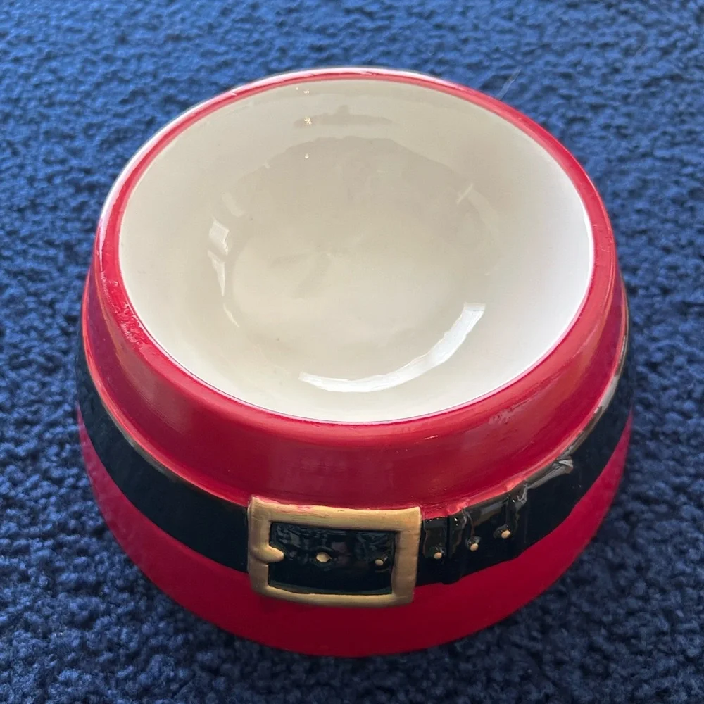 pet Santa 🎅 bowl - Picture 1 of 6